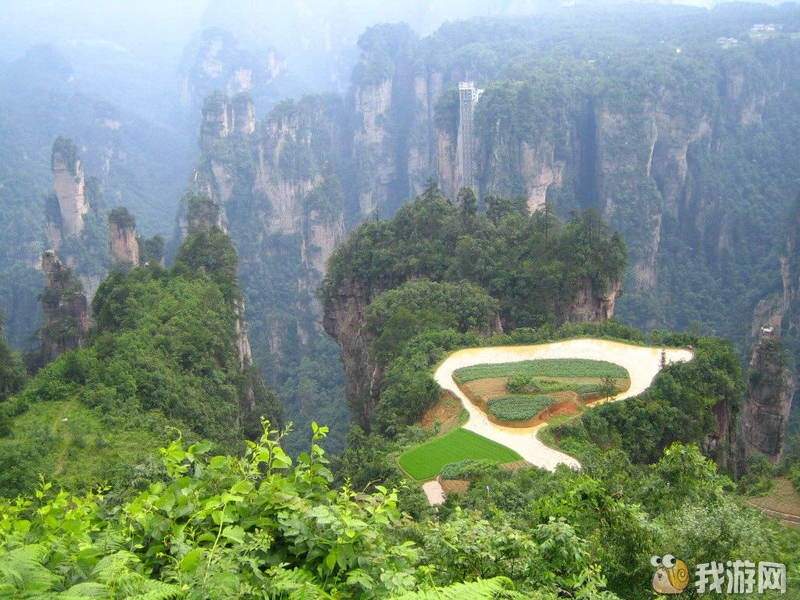空中田园.jpg