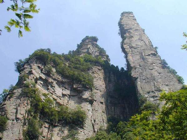 神鹰护鞭.jpg